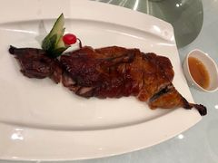 -沪碟·精菜坊(闵行店)
