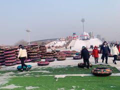 -沈阳奥体冰雪嘉年华