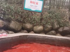 -江南天池