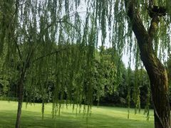 -柳浪闻莺公园