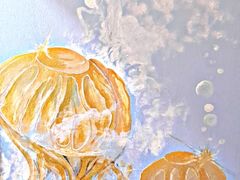 -ventus spa 沙巴亚庇正宗精油按摩会所