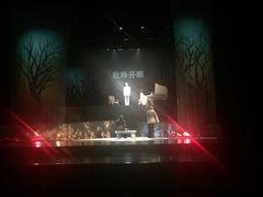 -合肥大剧院
