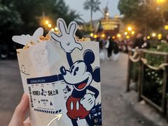 -上海迪士尼度假区