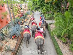 -东芭乐园