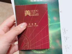 -影汇之星8字形摩天轮