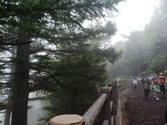 -富士山吉田線五合目