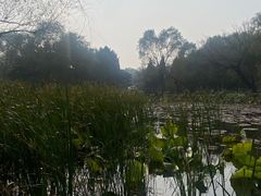 -北陵公园
