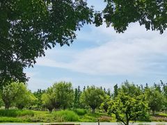 -汉长安城未央宫国家考古遗址公园