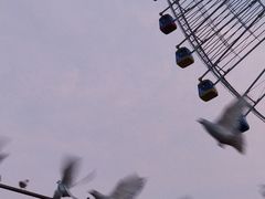 -南昌之星摩天轮