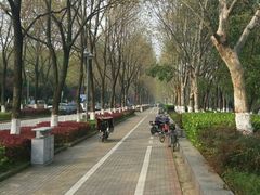 -后襄河公园