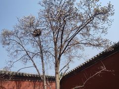 -天坛公园
