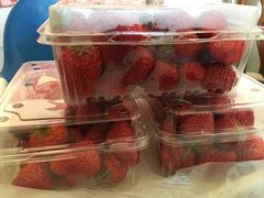 -昌平兴寿秀秀草莓采摘园