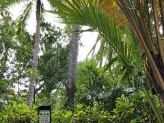 -三亚珠江南田温泉度假区