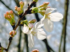 -西北湖绿化广场