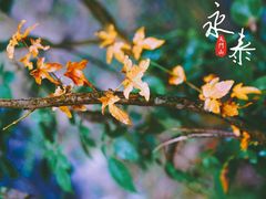 -福建天门山