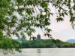 -杭州西湖柳莺里酒店