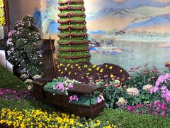 -杭州植物园