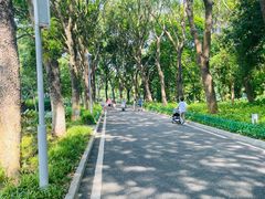 -东莞植物园