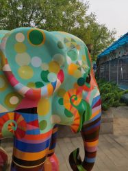 -大望京儿童游乐场