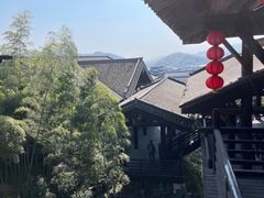 -大唐贡茶院