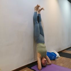 -兴亚瑜伽20年老馆