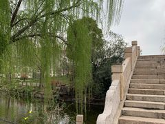 -上海财经大学(国定路校区)