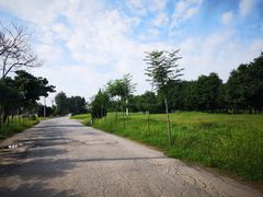 -汉长安城未央宫国家考古遗址公园