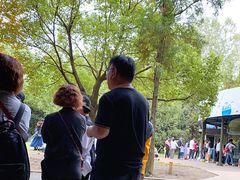 -东平国家森林公园
