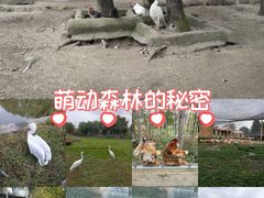 -哈尔滨北方森林动物园
