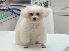 -御宝贝24h宠物医院·转诊中心·CT核磁血透中心(厦门总院)