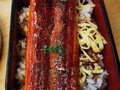 -Hatsune隐泉日式料理(三里屯太古里店)
