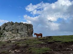 -灵山