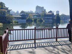 -荔湾湖公园