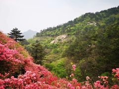 -木兰云雾山
