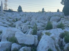 -原山国家森林公园