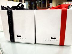 -BLACKSWAN黑天鹅(环球店)