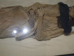 -巴音郭楞蒙古自治州博物馆