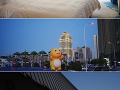 -海合安天津极地海洋公园