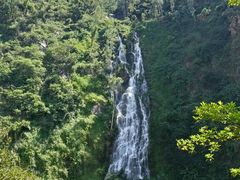 -水濂山森林公园