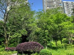 -重庆彩云湖湿地公园