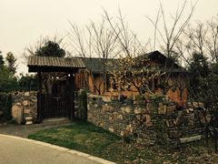 -鹅湖玫瑰文化园