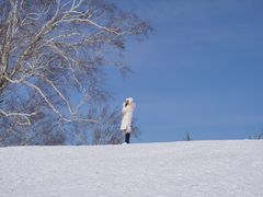 -凤凰山国家森林公园