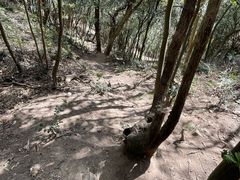 -东钱湖旅游度假区