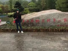 -习家池