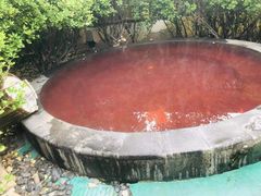 -仁爱团泊湖温泉中心