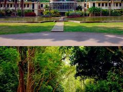 -中国科学院西双版纳热带植物园