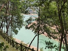-广州市流溪河国家森林公园