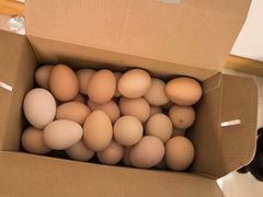 -马陆小张葡萄园农家乐