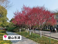-东湖生态旅游风景区