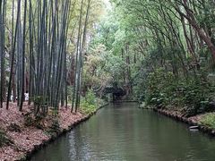 -同里国家湿地公园
